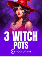 3 Witch Pots