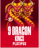9 Dragon Kings