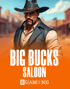 Big Bucks Saloon