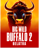 Big Wild Buffalo 2