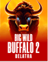Big Wild Buffalo 2