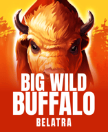 Big Wild Buffalo