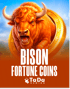Bison Fortune Coins