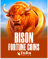 Bison Fortune Coins