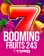 Booming Fruits 243