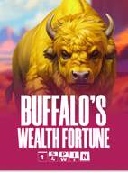Buffalo's Wealth Fortune
