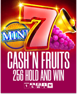 Cash'n Fruits 256 Hold And Win