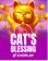Cat's Blessing