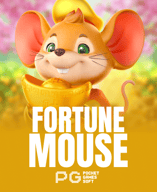 Fortune Mouse