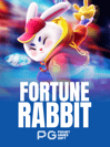 Fortune Rabbit