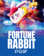 Fortune Rabbit