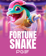 Fortune Snake