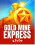 Gold Mine Express