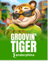 Groovin' Tiger