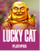 Lucky Cat