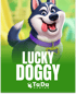 Lucky Doggy