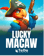 Lucky Macaw