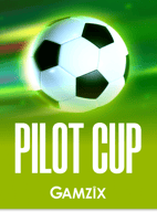 Pilot Cup