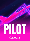 Pilot