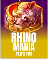 Rhino Mania