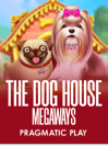 The Dog House Megaways