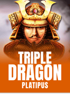 Triple Dragon