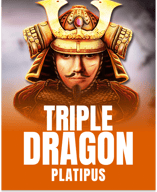 Triple Dragon