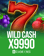 Wild Cash x9990