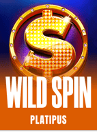 Wild Spin