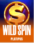 Wild Spin