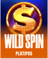 Wild Spin