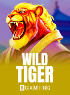 Wild Tiger