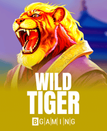 Wild Tiger