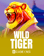 Wild Tiger