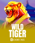 Wild Tiger