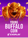 Young Buffalo Coins