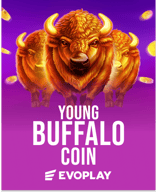 Young Buffalo Coins