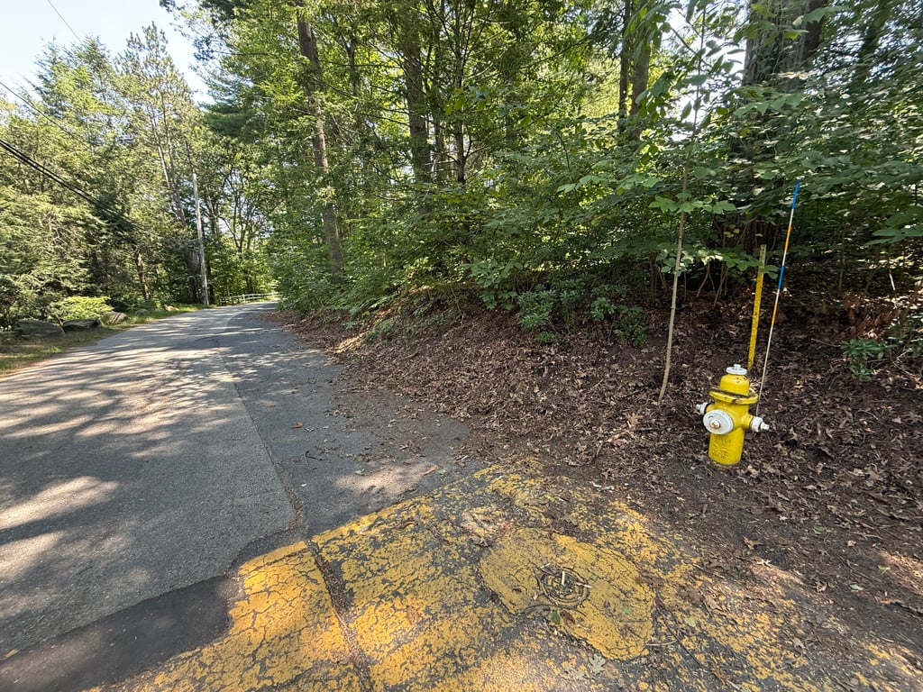 After hand-pulled poison ivy removal