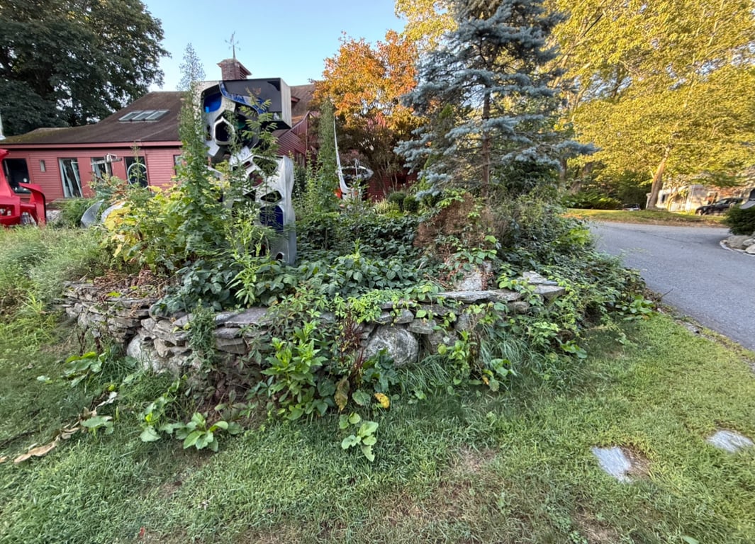Before poison ivy removal