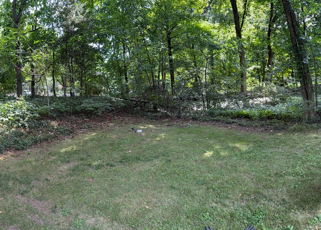 After hand-pulled poison ivy removal