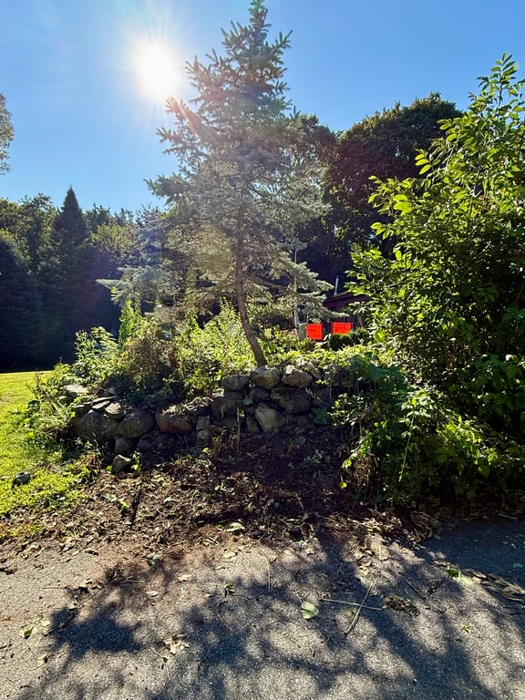 After hand-pulled poison ivy removal