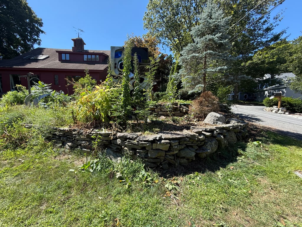 After hand-pulled poison ivy removal