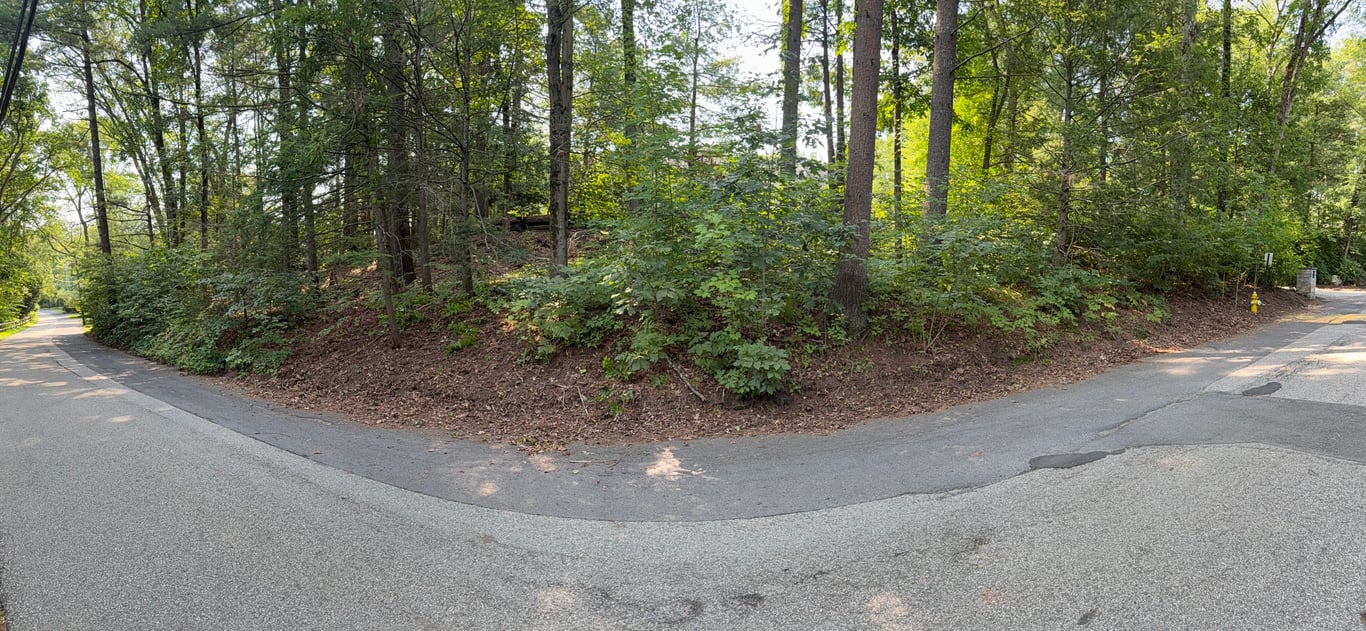 After — cleared corner lot