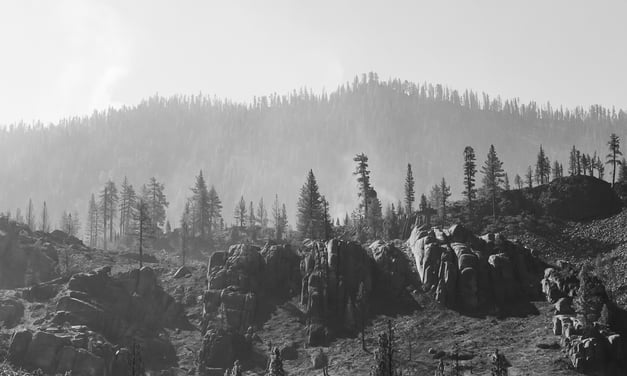 Donnell Fire