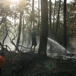 British Tourists Land in Bordeaux as Wildfires Force 220,000 to Flee