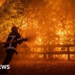 France Wildfires Trigger Crisis Meeting as Bordeaux Faces Evacuation Threat