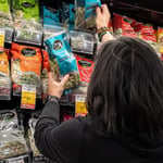 Cyclospora Outbreak Surges Past 1,900 Cases as FDA Targets Iceberg Lettuce