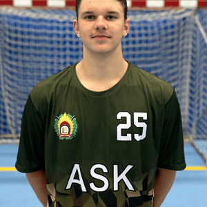 Raiens Šnepsts