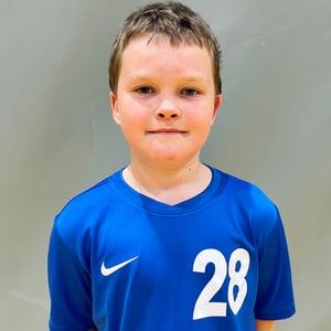 Haralds Heinrihsons