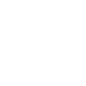 Granitas-Karys